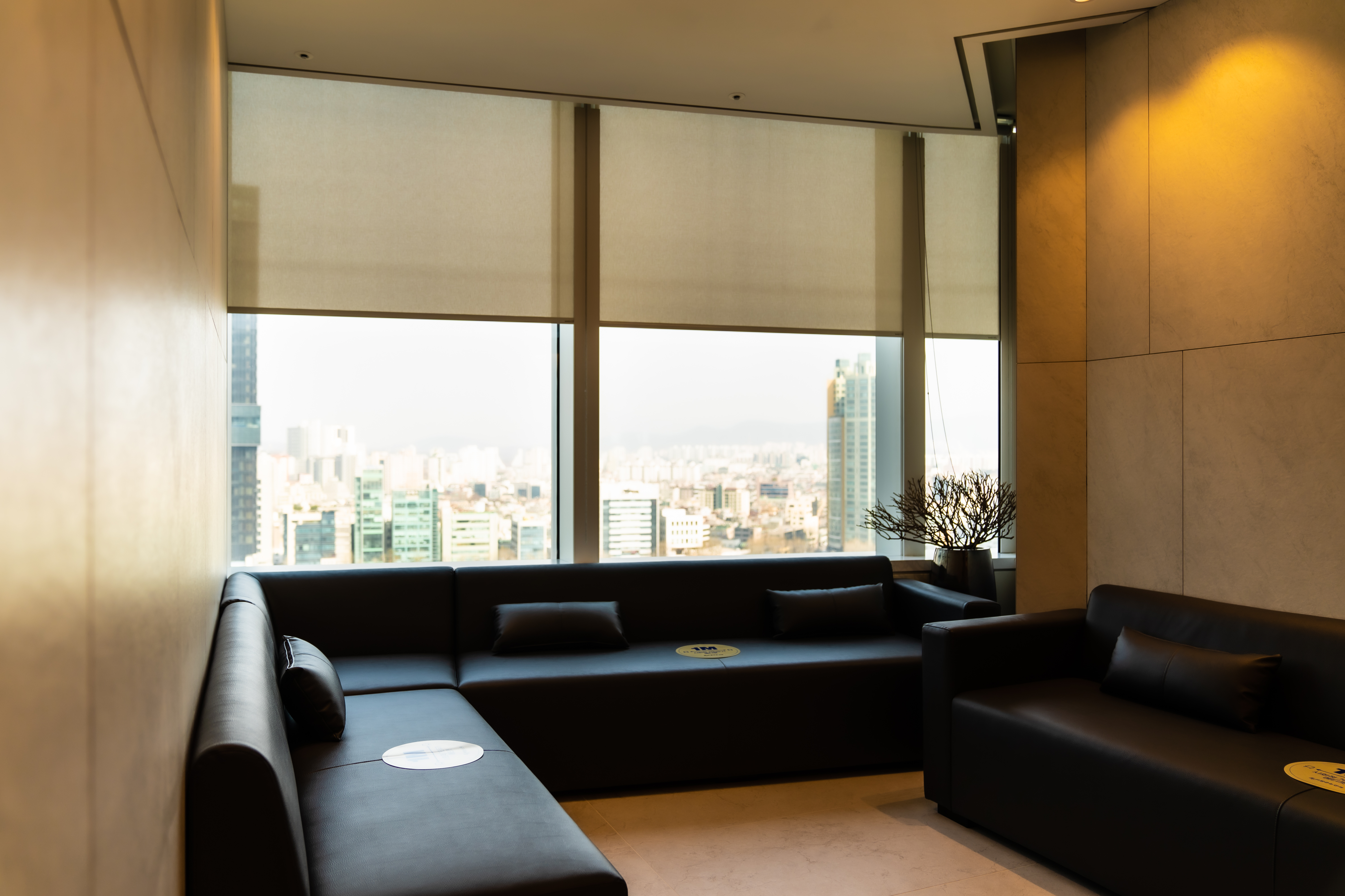 BGN 밝은눈안과 잠실본점에서 전문 의료진이 환자와 보호자에게 백내장 검사 결과를 상세히 상담하는 실제 장면