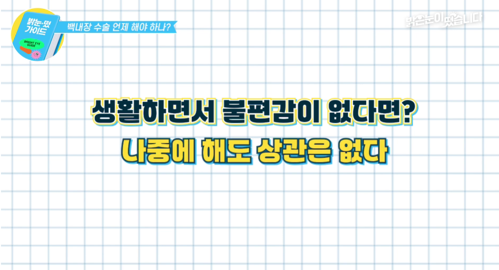 백내장 진행 단계에 따른 수정체 혼탁도 및 시야 변화 비교 이미지